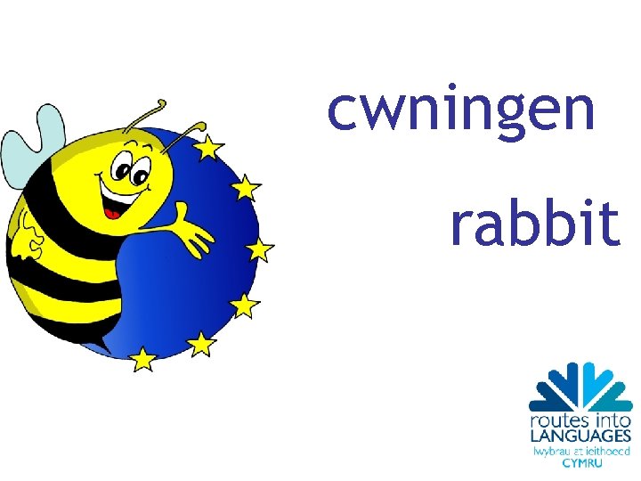 cwningen rabbit 