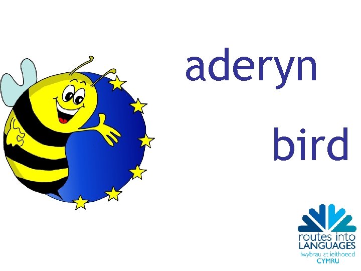 aderyn bird 