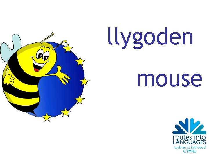 llygoden mouse 