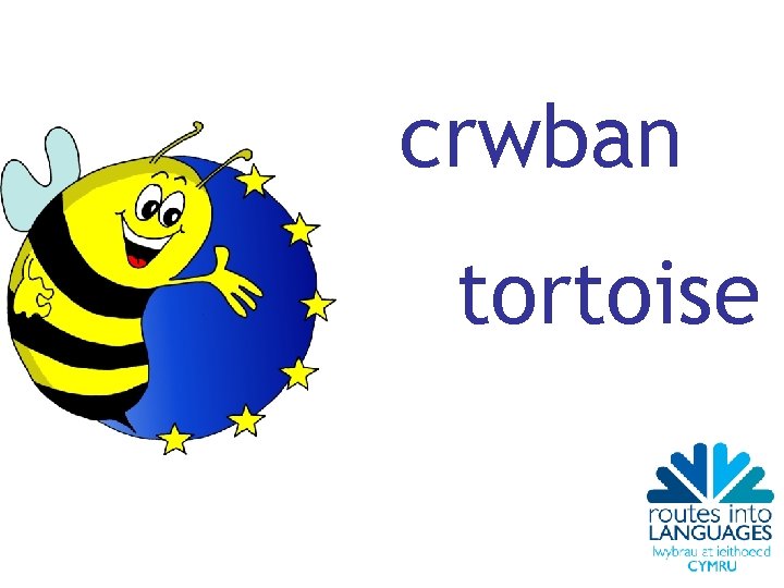 crwban tortoise 