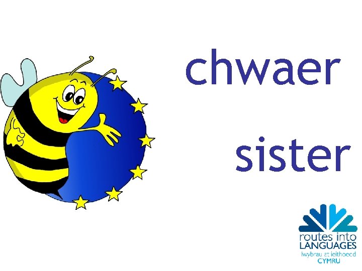 chwaer sister 