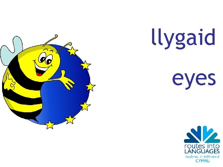 llygaid eyes 