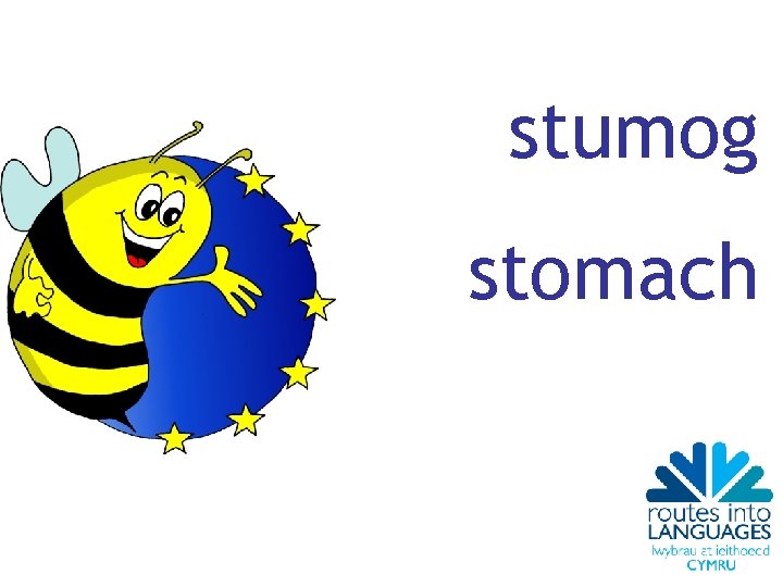 stumog stomach 