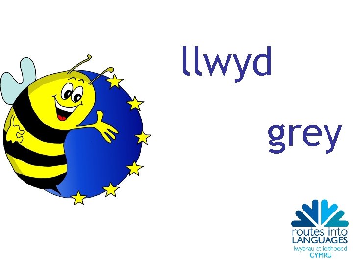 llwyd grey 