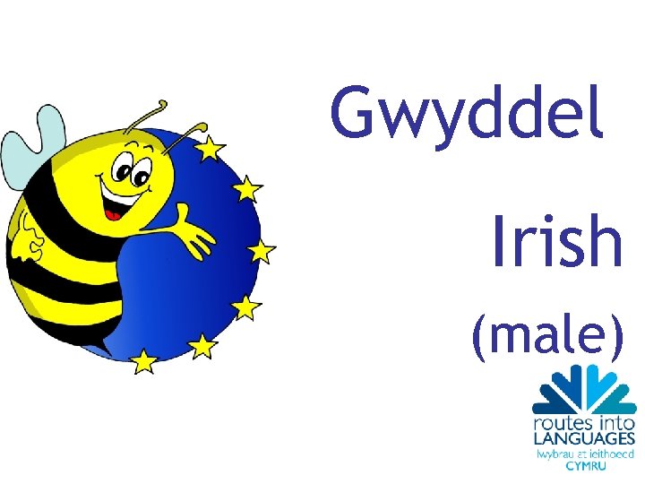 Gwyddel Irish (male) 