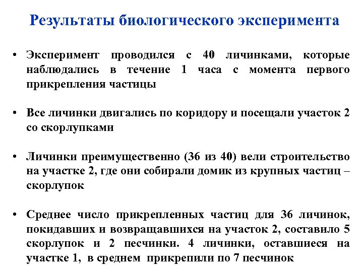 Результаты биологического эксперимента • Эксперимент проводился с 40 личинками, которые наблюдались в течение 1