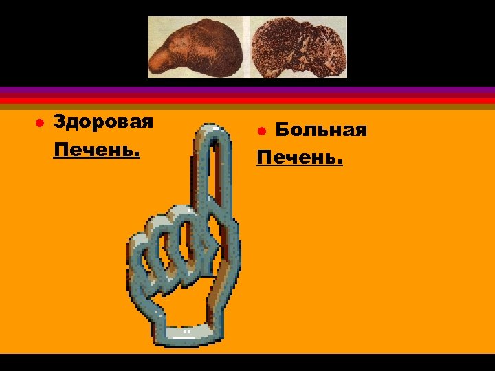 l Здоровая Печень. Больная Печень. l 