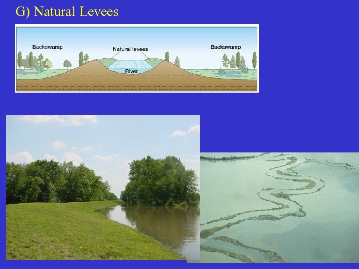 G) Natural Levees 