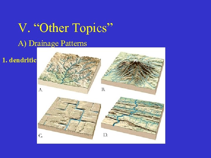 V. “Other Topics” A) Drainage Patterns 1. dendritic 