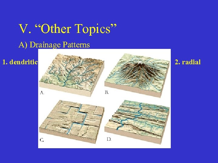 V. “Other Topics” A) Drainage Patterns 1. dendritic 2. radial 