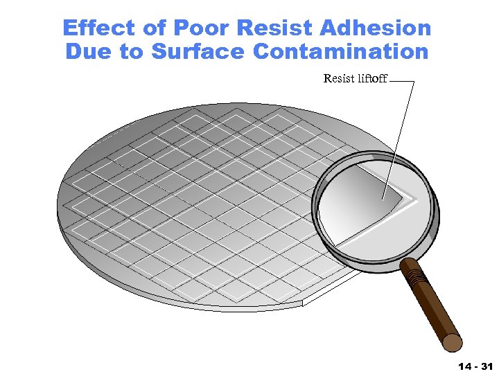 Effect of Poor Resist Adhesion Due to Surface Contamination Resist liftoff 14 - 31