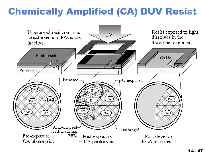 Chemically Amplified (CA) DUV Resist Unexposed resist remains crosslinked and PAGs are inactive. Resist