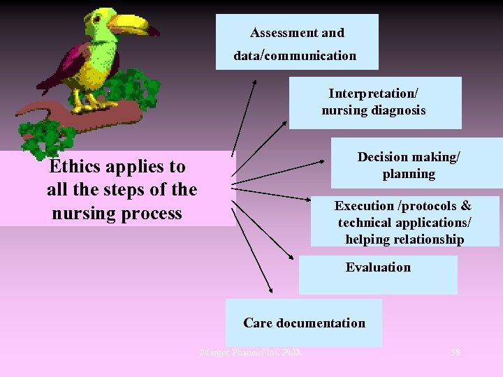  Assessment and data/communication Interpretation/ nursing diagnosis Decision making/ planning Ethics applies to all