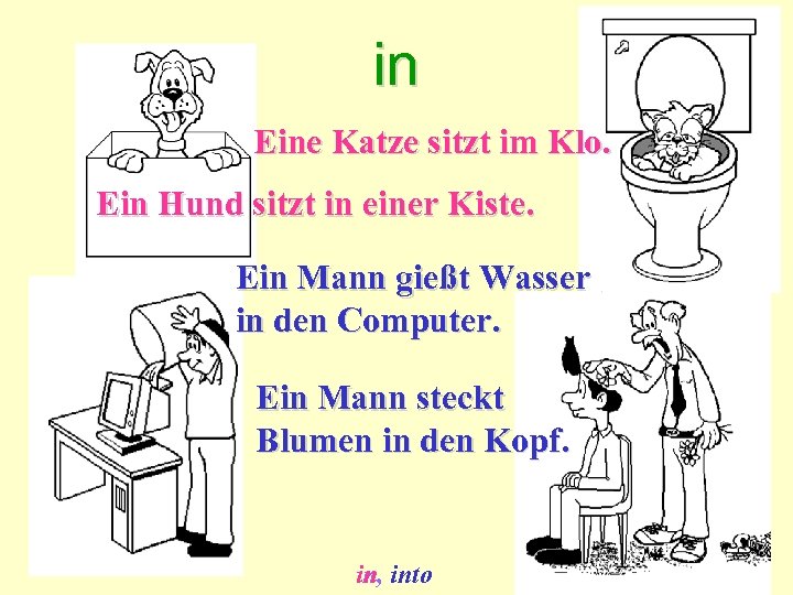 in Eine Katze sitzt im Klo. Ein Hund sitzt in einer Kiste. Ein Mann