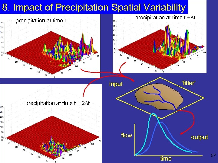 8. Impact of Precipitation Spatial Variability precipitation at time t +Dt precipitation at time