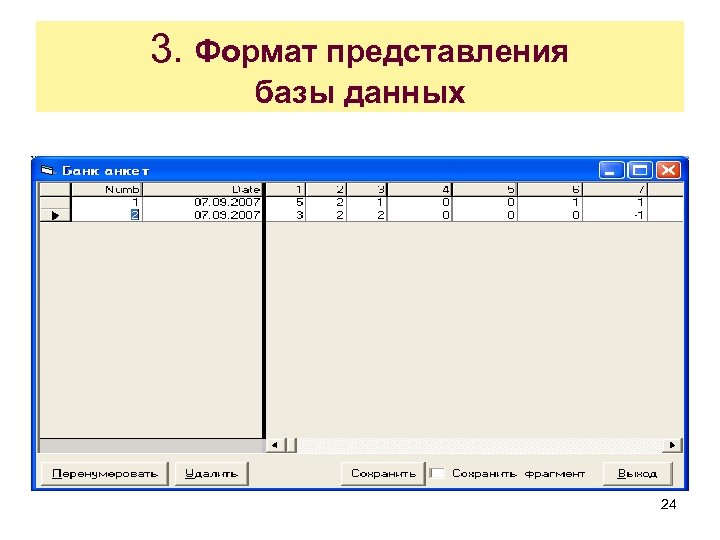 3. Формат представления базы данных 24 