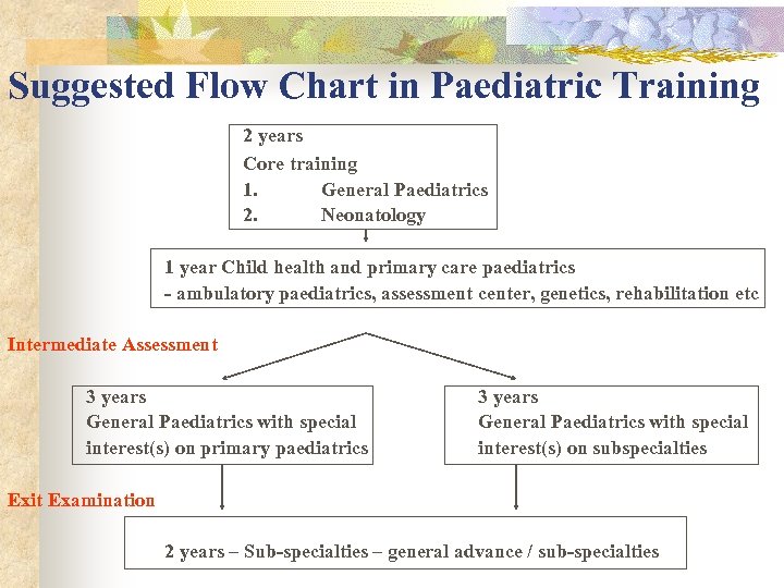 Suggested Flow Chart in Paediatric Training 2 years Core training 1. General Paediatrics 2.