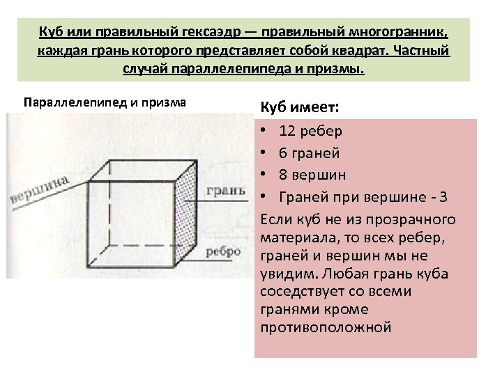 Куб или правильный гексаэдр — правильный многогранник, каждая грань которого представляет собой квадрат. Частный