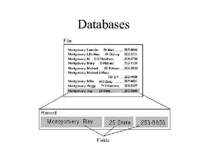 Databases 