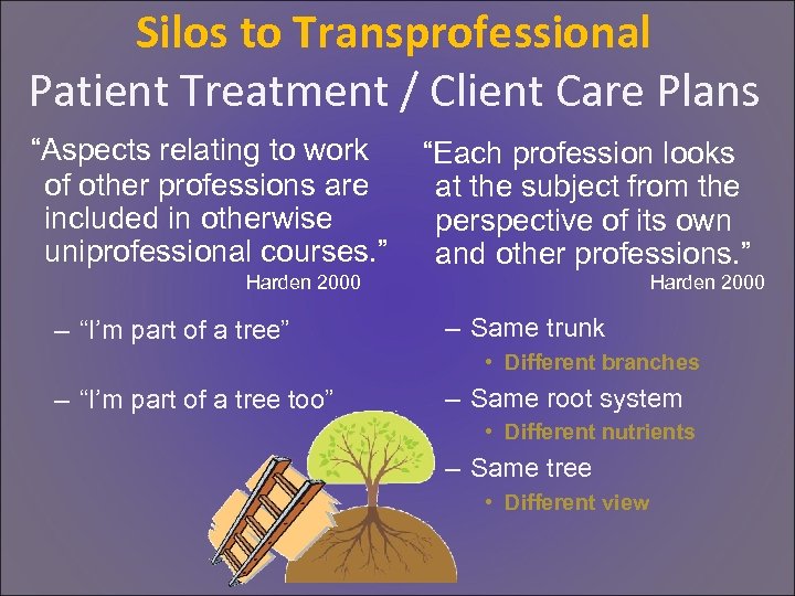 Silos to Transprofessional Patient Treatment / Client Care Plans “Aspects relating to work of