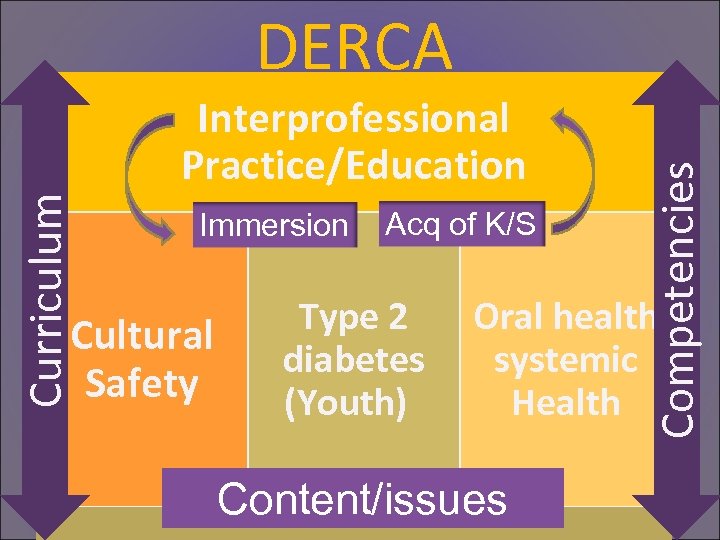 Curriculum Interprofessional Practice/Education Immersion Cultural Safety Acq of K/S Type 2 diabetes (Youth) Competencies