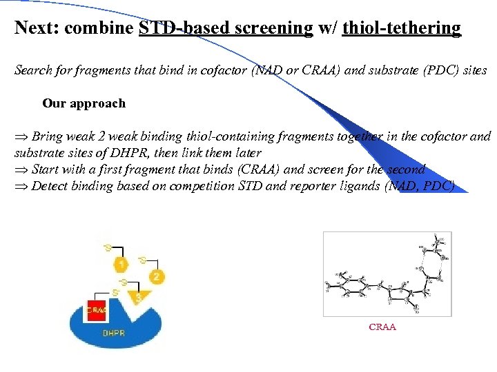 Next: combine STD-based screening w/ thiol-tethering Search for fragments that bind in cofactor (NAD