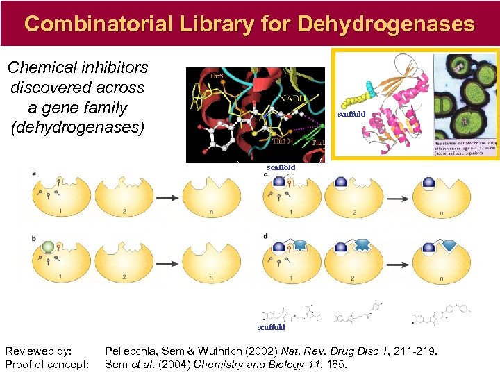 Combinatorial Library for Dehydrogenases Chemical inhibitors discovered across a gene family (dehydrogenases) Co mm