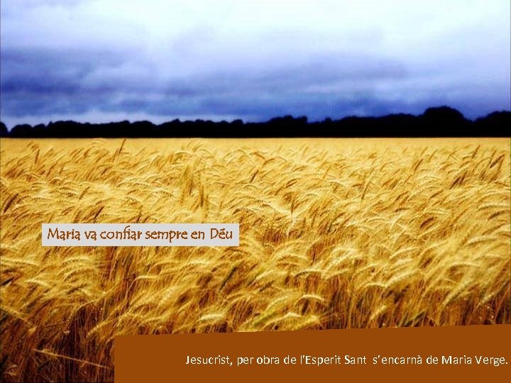 Maria va confiar sempre en Déu Jesucrist, per obra de l’Esperit Sant s’encarnà de