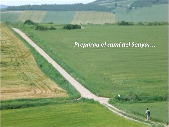 Preparau el camí del Senyor. . . 
