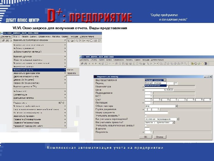 VI. Окно запроса для получения отчета. Виды представления 