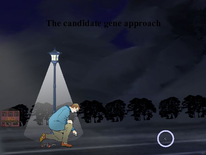 The candidate gene approach 