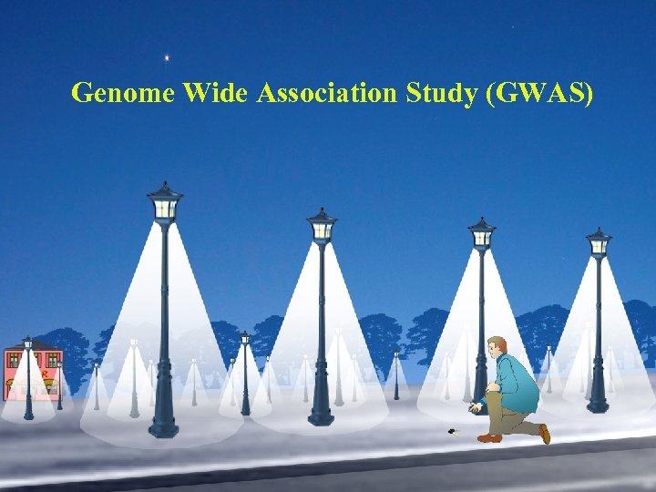 Genome Wide Association Study (GWAS) 