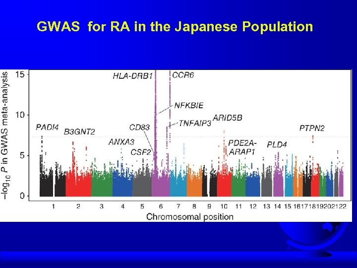 GWAS for RA in the Japanese Population 