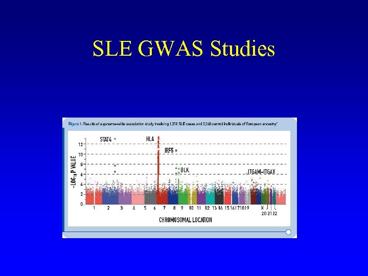 SLE GWAS Studies 