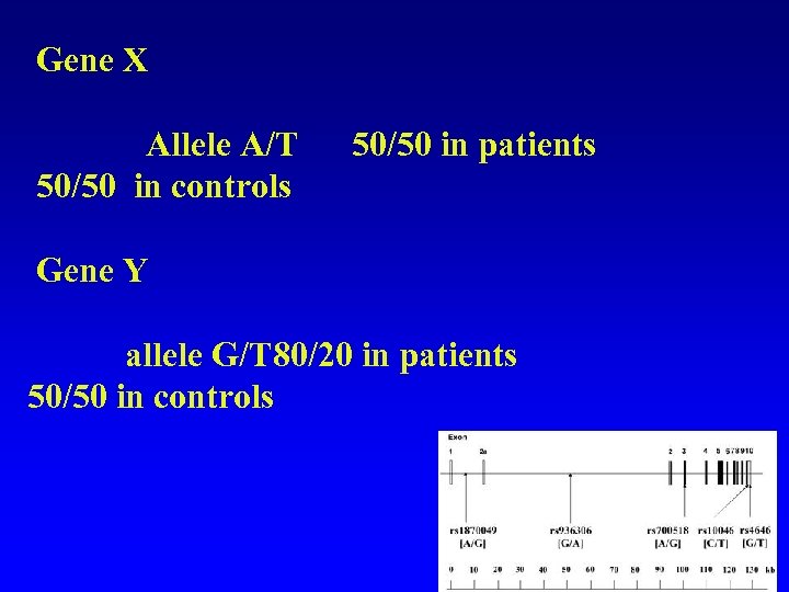 Gene X Allele A/T 50/50 in controls 50/50 in patients Gene Y allele G/T