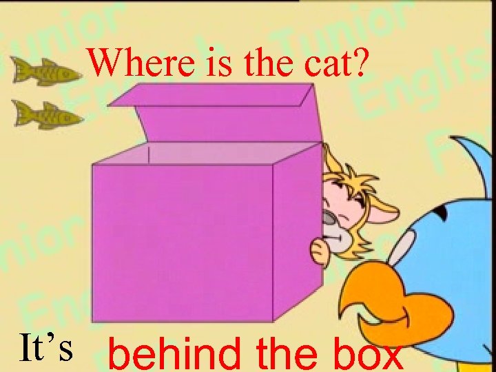 Where is the cat? It’s behind the box 