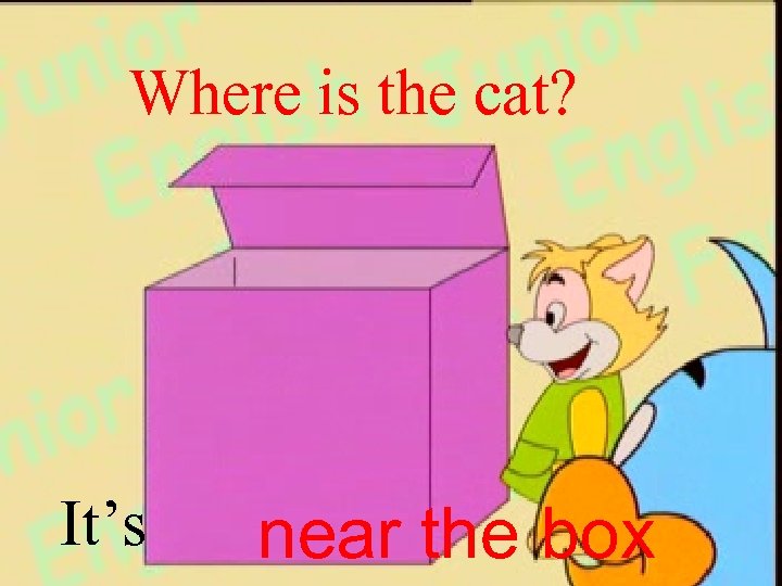 Where is the cat? It’s near the box 