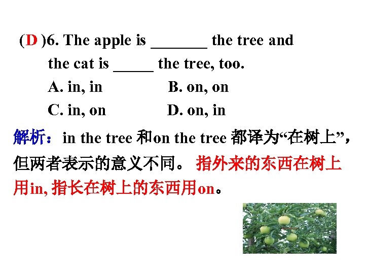 ( D )6. The apple is _______ the tree and the cat is _____