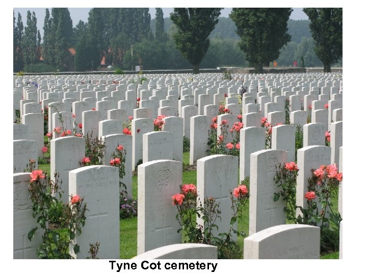 Tyne Cot cemetery 