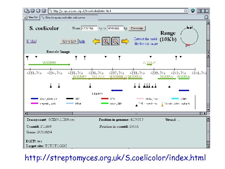  • location and description of each insertion provided at: http: //streptomyces. org. uk/S.