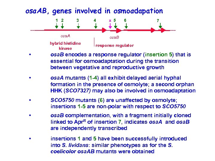 osa. AB, genes involved in osmoadapation 1 2 3 4 x 5 6 osa.