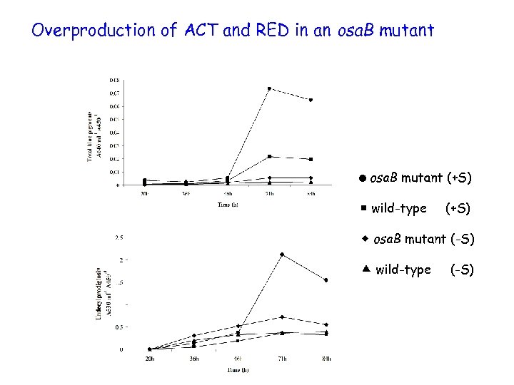 Overproduction of ACT and RED in an osa. B mutant =osa. B mutant (+S)