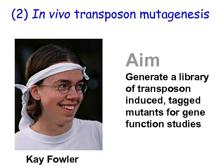 (2) In vivo transposon mutagenesis Aim Generate a library of transposon induced, tagged mutants