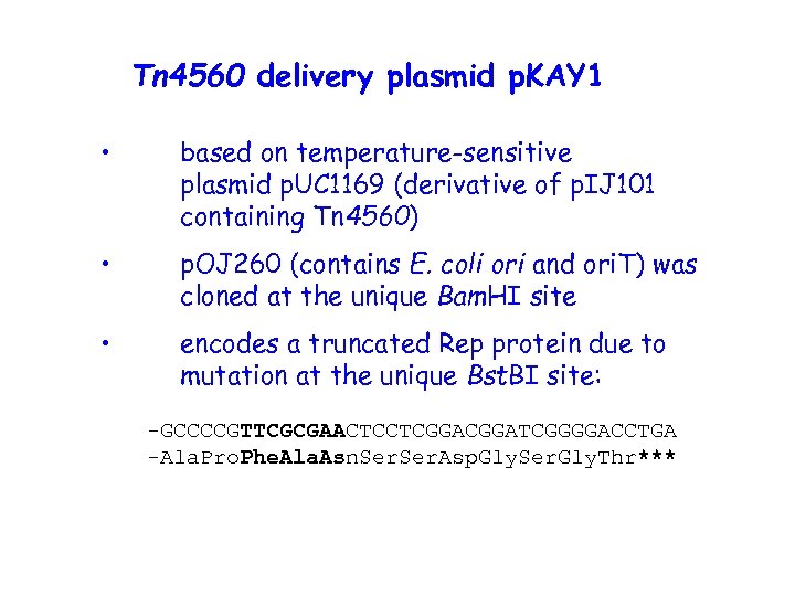 Tn 4560 delivery plasmid p. KAY 1 • based on temperature-sensitive plasmid p. UC