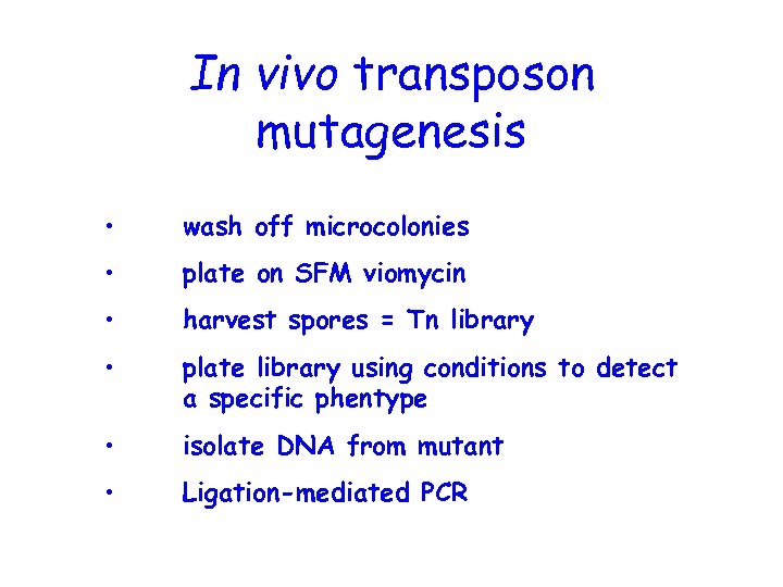 In vivo transposon mutagenesis • wash off microcolonies • plate on SFM viomycin •