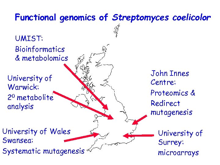 Functional genomics of Streptomyces coelicolor UMIST: Bioinformatics & metabolomics University of Warwick: 20 metabolite