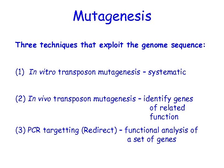 Mutagenesis Three techniques that exploit the genome sequence: (1) In vitro transposon mutagenesis –