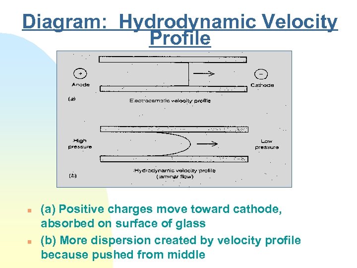 Diagram: Hydrodynamic Velocity Profile n n (a) Positive charges move toward cathode, absorbed on