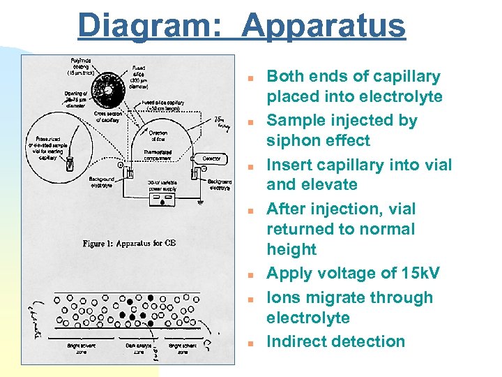 Diagram: Apparatus n n n n Both ends of capillary placed into electrolyte Sample