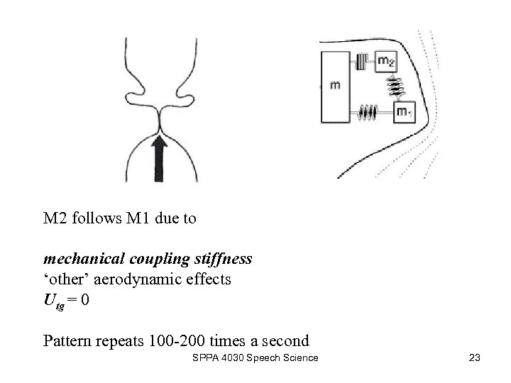 M 2 follows M 1 due to mechanical coupling stiffness ‘other’ aerodynamic effects Utg